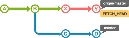 在本地端数据库和远端数据库的origin,在从B进行提交的状态下执行fetch